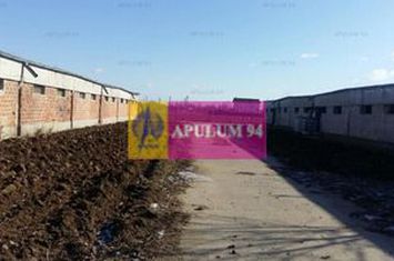 Teren Balotesti- Saftica anunturi imobiliare Bucuresti