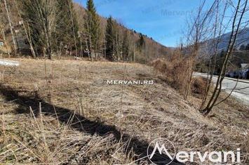 Teren Intravilan de vanzare SINAIA - Prahova anunturi imobiliare Prahova