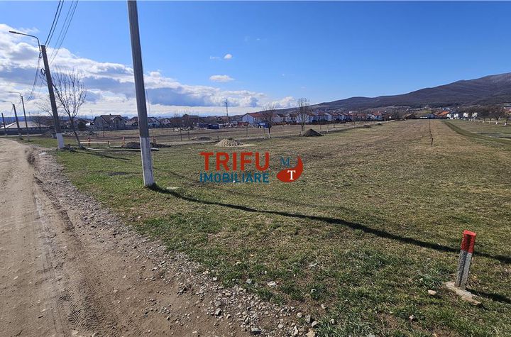 Teren Intravilan de vanzare CENTRAL - Alba anunturi imobiliare Alba