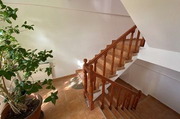 Casa P+2+M de inchiriat in zona Blumana - Brasov anunturi imobiliare Brasov