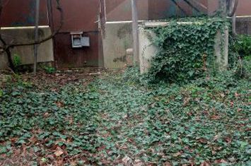 Vilă - 3 camere de vanzare CERMEI - Arad anunturi imobiliare Arad
