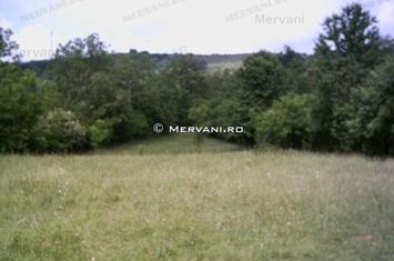 Teren de vânzare în Câmpina (zona semicentrală) anunturi imobiliare Prahova