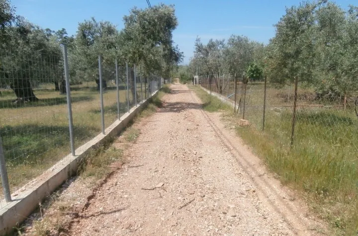 Teren construibil 7310 mp, Skala Kallirachis anunturi imobiliare Grecia