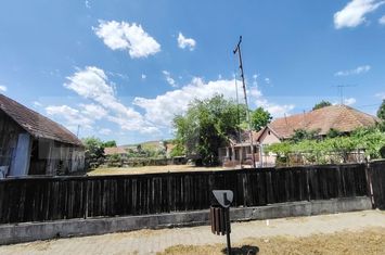 Casă - 3 camere de vanzare RACIU - Mures anunturi imobiliare Mures