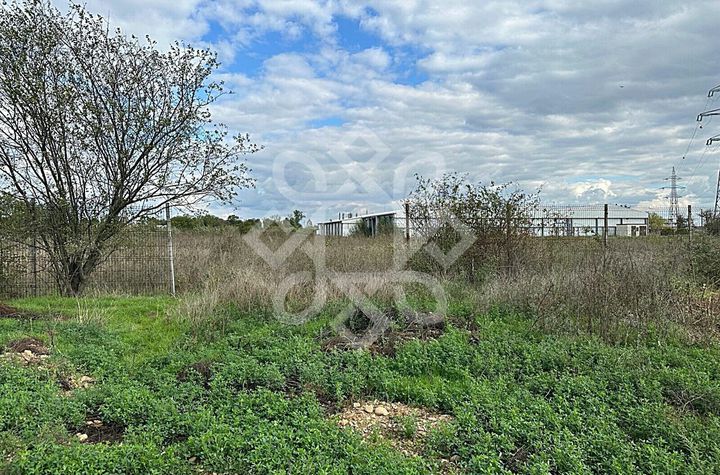 Teren industrial de vanzare in Santandrei anunturi imobiliare Bihor