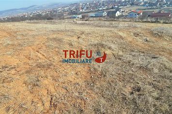 Teren Intravilan de vanzare CETATE - Alba anunturi imobiliare Alba