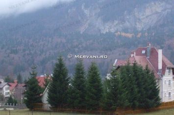 Teren de vânzare în Bușteni - Zona Piatra Arsă anunturi imobiliare Prahova