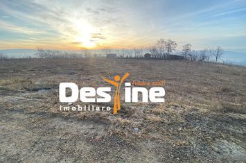 Teren de vanzare CIURBESTI - Iasi anunturi imobiliare Iasi