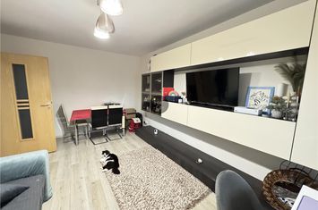 Apartament 2 camere de vanzare PODU ROS - Iasi anunturi imobiliare Iasi