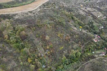 Teren 18,300mp Ghioroc anunturi imobiliare Arad