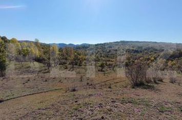 Teren de vanzare TARGOVISTE - Dambovita anunturi imobiliare Dambovita