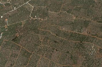 Teren construibil 4.237,72 mp în Skala Kallirachis anunturi imobiliare Grecia