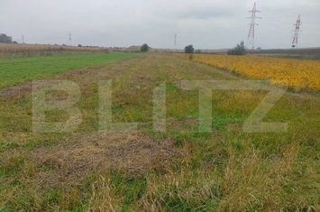 Teren de vanzare RADAUTI - Suceava anunturi imobiliare Suceava