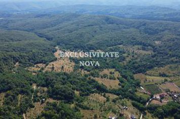 Oază de natură și oportunitate în Băiculești – Valea lui Enache, Argeș anunturi imobiliare Arges