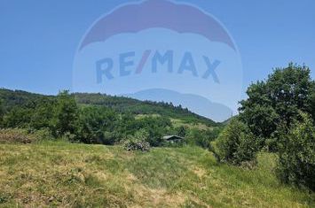 Teren  intravilan  de vanzare Oras  Saliste  Strada Livezii Jud Sibiu anunturi imobiliare Sibiu