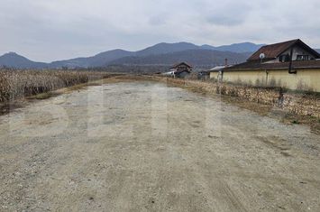Teren de vanzare SOIMUS - Hunedoara anunturi imobiliare Hunedoara