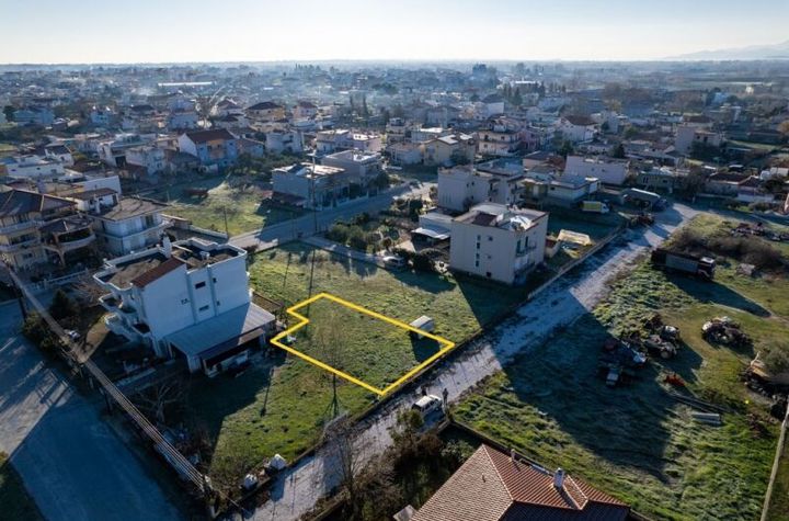 Teren construibil 400 mp în Chrysoupoli Nestos anunturi imobiliare Grecia