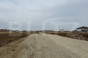 Teren de vanzare PIELESTI - Dolj anunturi imobiliare Dolj