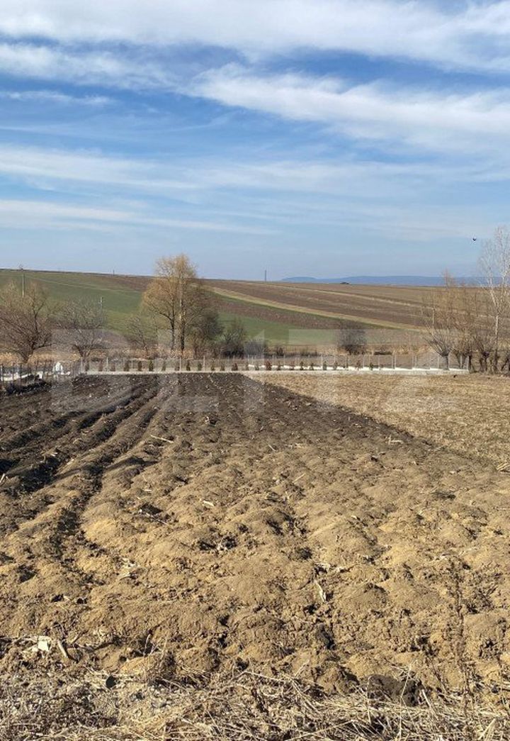 Teren de vanzare SUCEAVA - Suceava anunturi imobiliare Suceava