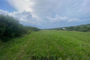 Teren de vanzare DAIA - Sibiu anunturi imobiliare Sibiu
