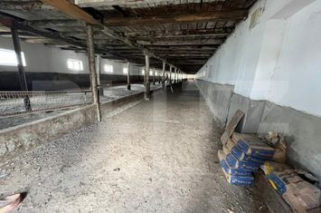 Spațiu industrial de vanzare ORADEA - Bihor anunturi imobiliare Bihor