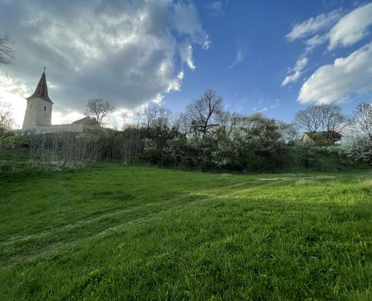 Teren Daia, 5370 mp