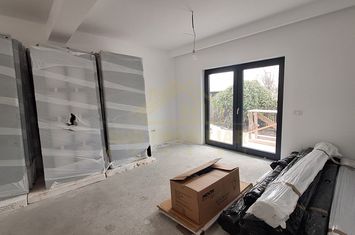 CASA INDIVIDUALA P+1+POD-TEREN 350 MP-MIRASLAU anunturi imobiliare Bucuresti