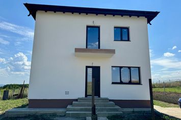 Vilă - 4 camere de vanzare ARONEANU - Iasi anunturi imobiliare Iasi