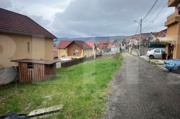 Teren de vanzare BACIU - Cluj anunturi imobiliare Cluj