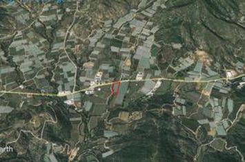 Teren construibil 10.000 mp în Mirtofito anunturi imobiliare Grecia