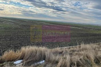 Teren Mihailesti E70- DN6 langa Dovinot. anunturi imobiliare Giurgiu