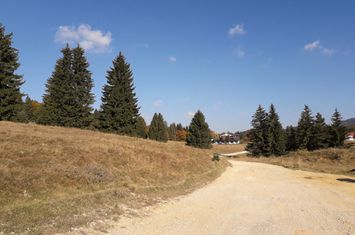 Ocazie unică la licitație: Teren cu Potențial Turistic Major în Poiana Brașov anunturi imobiliare Brasov