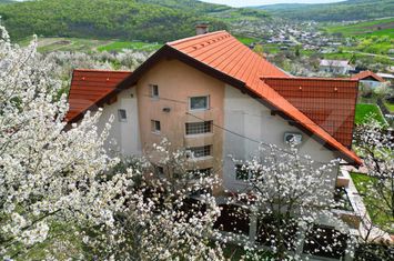 Vilă - 8 camere de vanzare IASI - Iasi anunturi imobiliare Iasi