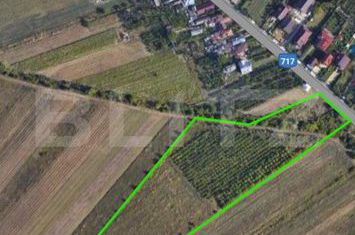 Teren de vanzare TARGOVISTE - Dambovita anunturi imobiliare Dambovita