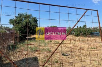 Teren Cornetu- intre case. anunturi imobiliare Bucuresti