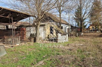 Casa individuala cu 3 camere ,teren 4222 mp in exclusivitate Dorobanti anunturi imobiliare Arad