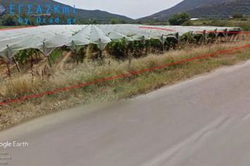 Teren construibil 10.000 mp în Mirtofito anunturi imobiliare Grecia