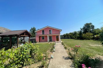 Casă - 6 camere de vanzare DRAGUTESTI - Gorj anunturi imobiliare Gorj