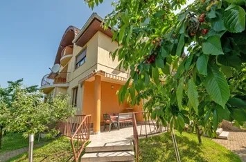Cartier Europa, VILĂ 550 mp, LOT 1.006 mp anunturi imobiliare Cluj