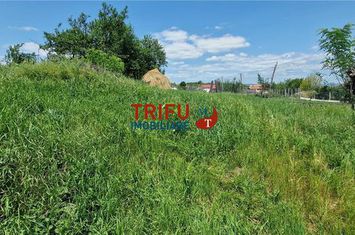 Teren Intravilan de vanzare CENTRAL - Alba anunturi imobiliare Alba