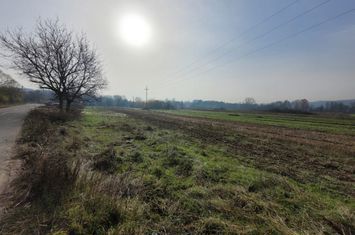 Teren de vanzare URSATI - Gorj anunturi imobiliare Gorj