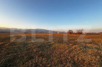 Teren de vanzare ALBA IULIA - Alba anunturi imobiliare Alba