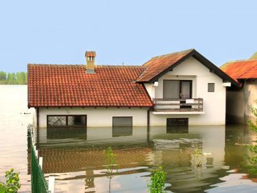 Decât o asigurare ieftină, mai bine deloc. Multe asigurări promit mult, dar nu fac nimic