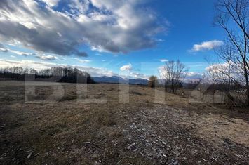 Teren de vanzare TARGU-JIU - Gorj anunturi imobiliare Gorj