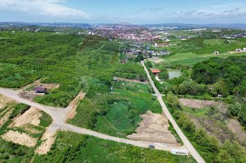 Teren intravilan de vânzare – 4.000 mp, Vișan anunturi imobiliare Iasi
