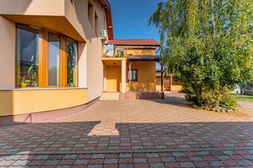 Vilă cu teren generos în Pârneava anunturi imobiliare Arad