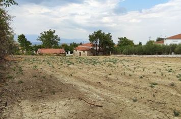 Teren 1093 mp în Choumniko anunturi imobiliare Grecia