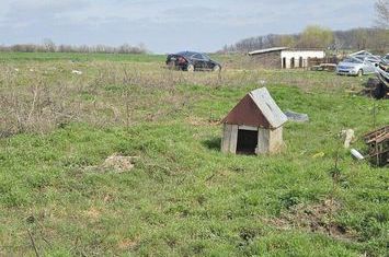 Afumati Balta Batal teren de vanzare 7000 mp anunturi imobiliare Bucuresti