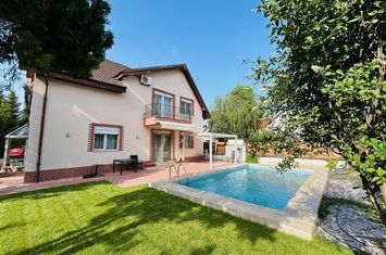 Villa with pool, 6 bedrooms, Iancu Nicolae anunturi imobiliare Bucuresti