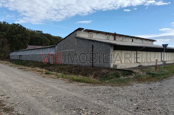 Ferma Agricolă 1.350 Hectare – Grad de Comasare 96–97%, Chișineu Criș, Județul Arad anunturi imobiliare Arad